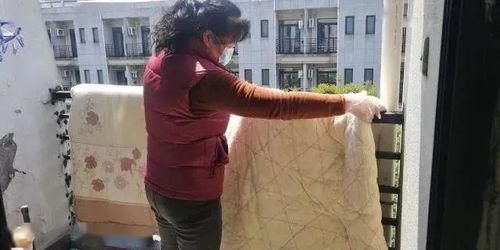 阿姨在线观看,畅享便捷娱乐新体验  第3张